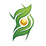 FAQs untitled design (2)